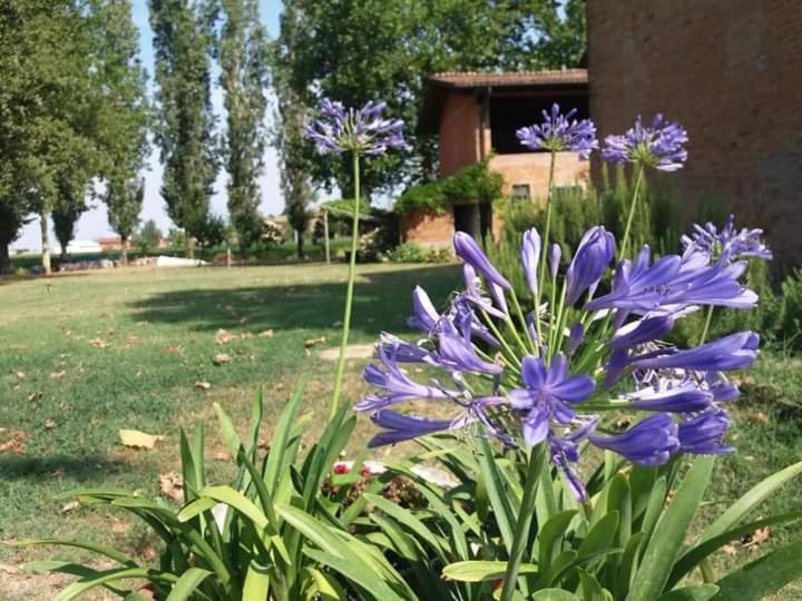 Bastiglia B&B Il Naviglio Di Antonelli Fabio المظهر الخارجي الصورة